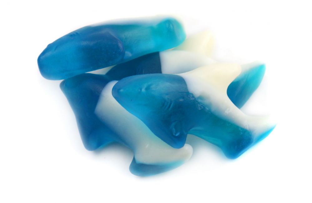 Buy Gummy Sharks in Bulk at Wholesale Prices Online Candy Nation