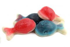 Gummy Filled Whales 2.2lb 12 Count